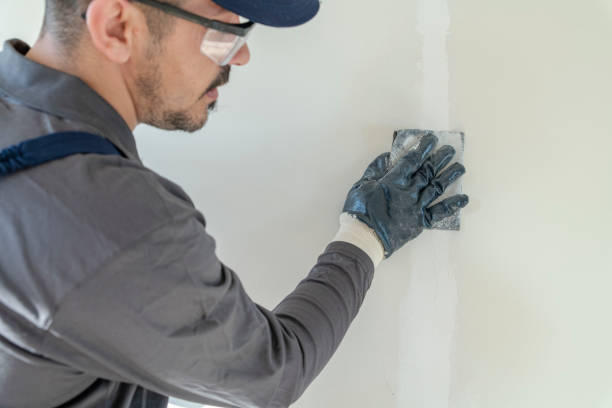Trusted Mount Healthy, OH Mold Removal Experts